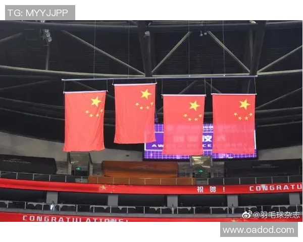 深圳羽毛球队逆袭全国锦标赛的辉煌历程与背后故事揭秘