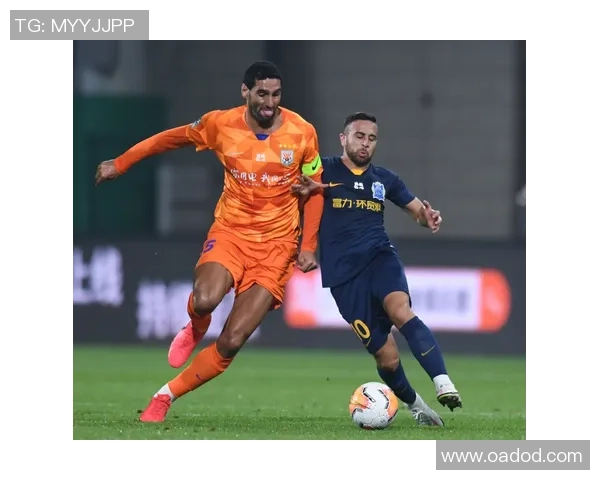 武汉排球队的转型之路探索与挑战并存的崭新篇章